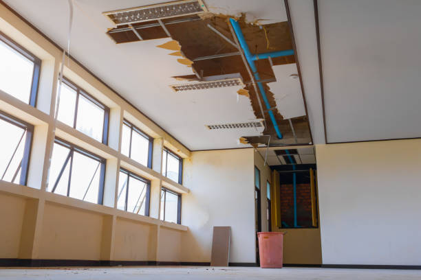 Best Commercial water damage restoration  in , NH