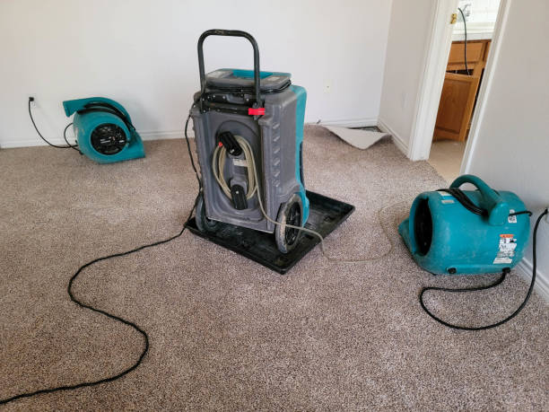 Best Residential water damage restoration  in , NH