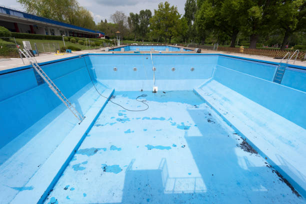 Best Carpet water damage restoration  in , NH