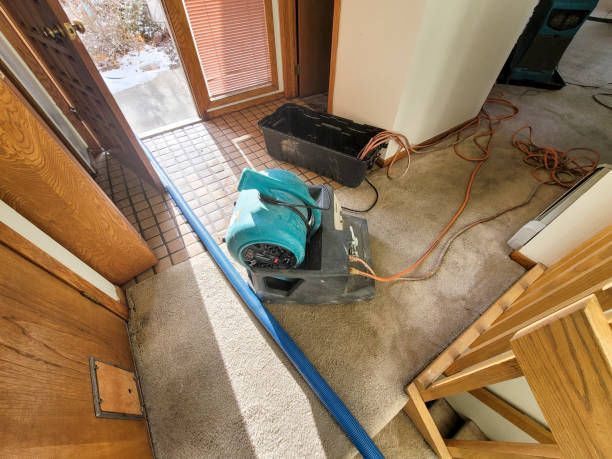 Best Basement water damage restoration  in , NH