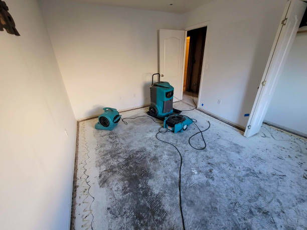 Best Water damage restoration services  in , NH