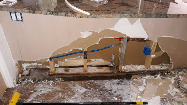 Best Water damage cleanup near me  in , NH