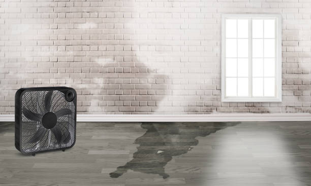 Best Local water damage restoration  in , NH