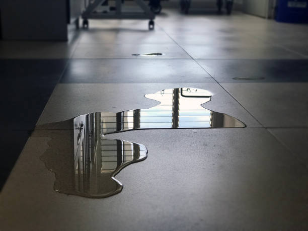 Best Water damage restoration experts  in , NH