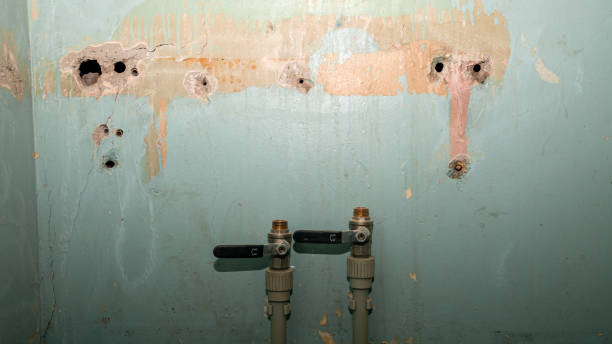 Best Fire Damage Restoration  in , NH