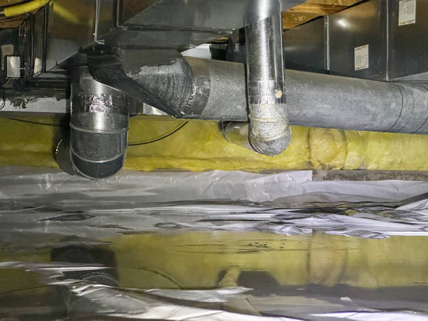 Best Water damage restoration near me  in , NH