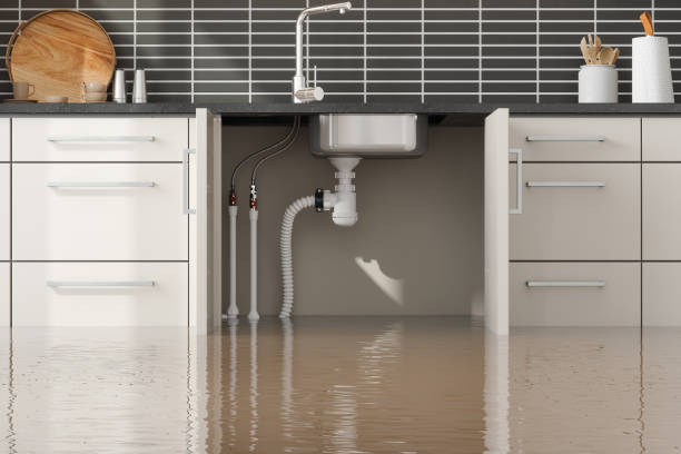 Best 24/7 water damage repair  in , NH