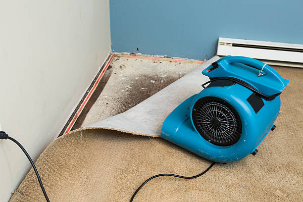 Best Water damage restoration near me  in , NH
